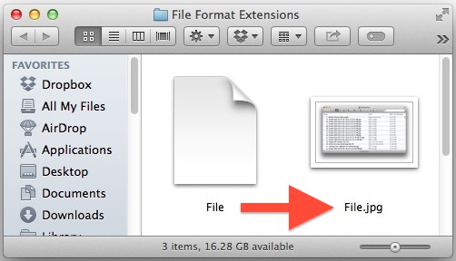 file format for windows and mac